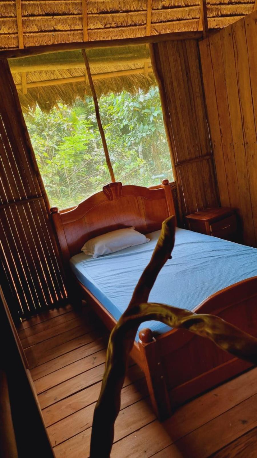 Castana Amazon Park Pansiyon Puerto Maldonado Dış mekan fotoğraf