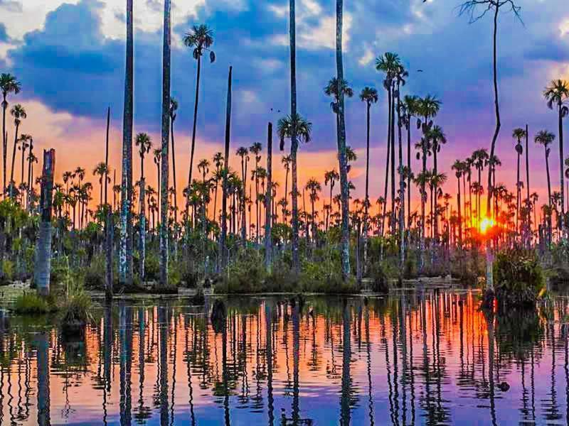 Castana Amazon Park Pansiyon Puerto Maldonado Dış mekan fotoğraf