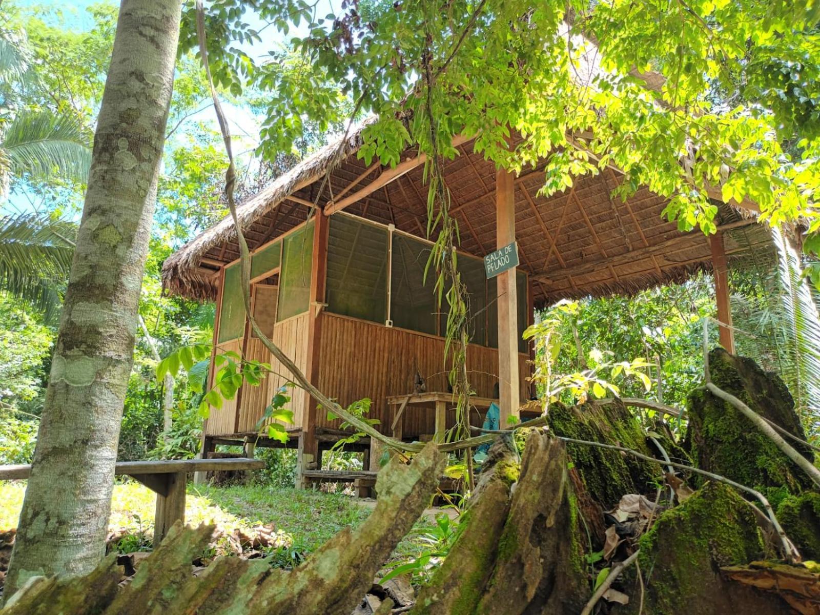 Castana Amazon Park Pansiyon Puerto Maldonado Dış mekan fotoğraf