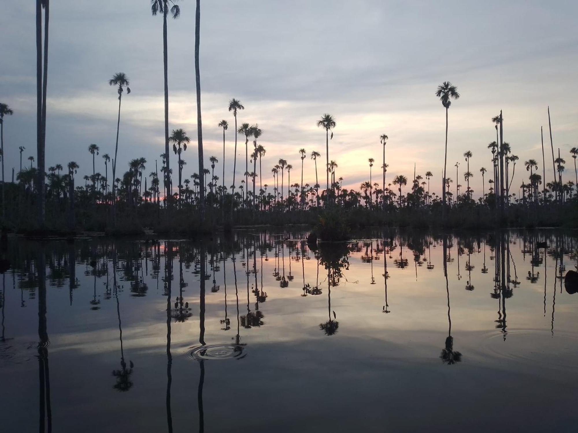 Castana Amazon Park Pansiyon Puerto Maldonado Dış mekan fotoğraf