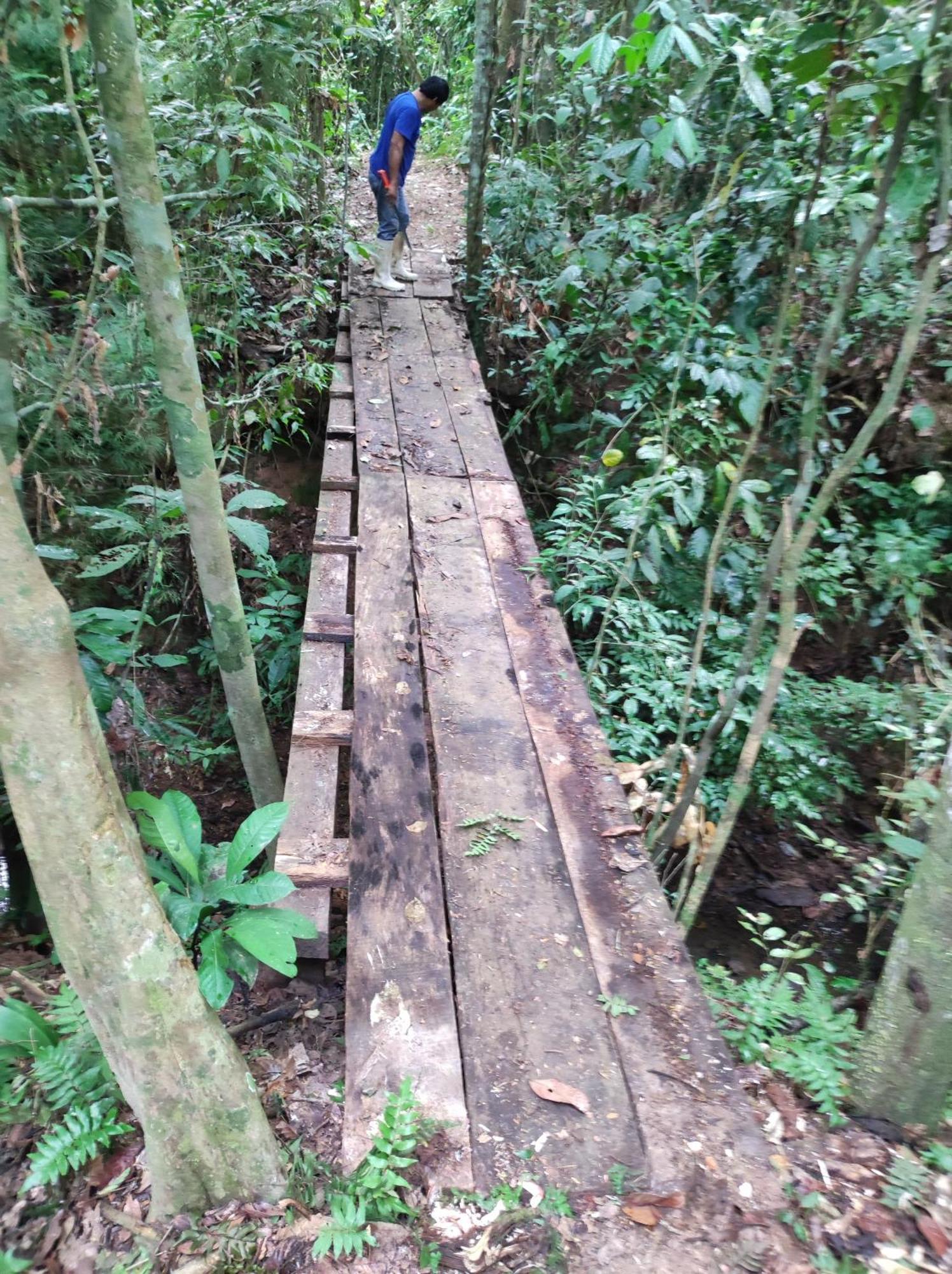 Castana Amazon Park Pansiyon Puerto Maldonado Dış mekan fotoğraf